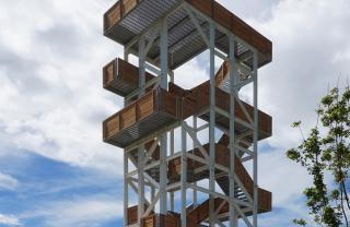 Ateliereen-Uitkijktoren-Hoge-Bergse-Bos-(05)