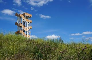 Ateliereen-Uitkijktoren-Hoge-Bergse-Bos-(07)
