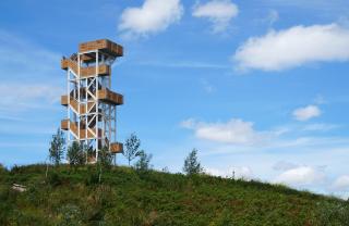 Ateliereen-Uitkijktoren-Hoge-Bergse-Bos-(08)