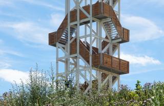 Ateliereen-Uitkijktoren-Hoge-Bergse-Bos-(11)
