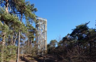 uitkijktoren-herperduin-02