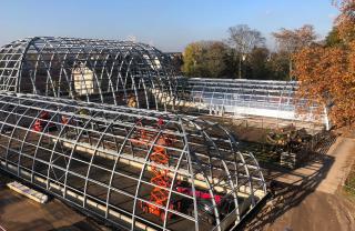 Botanical garden Flora Cologne glass construction (4)