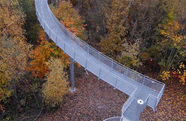 Wandelweg tussen boomtoppen