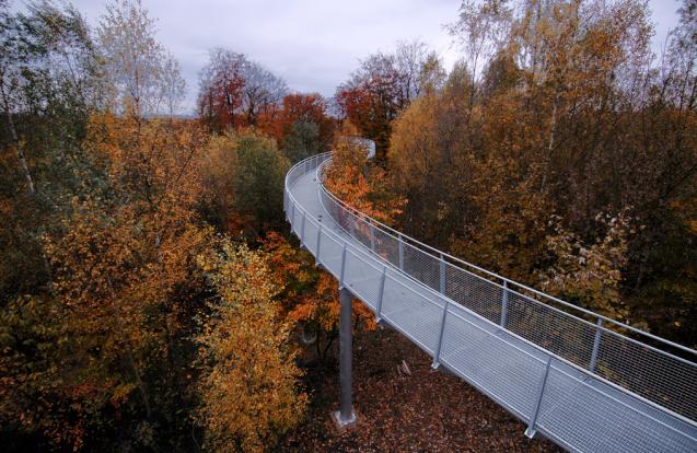 Wandelweg tussen boomtoppen