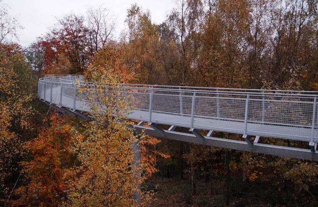 Wandelweg tussen boomtoppen