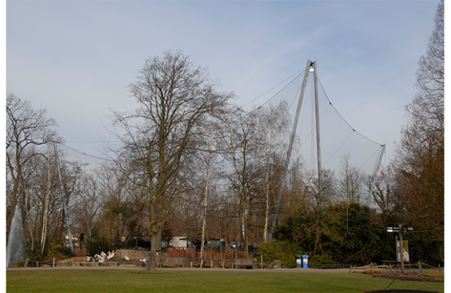 Gierenkooi zoo Planckendael