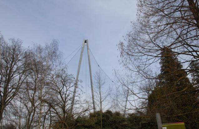 Gierenkooi zoo Planckendael