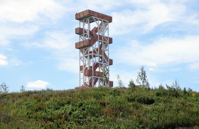 Uitkijktoren Hoge Bergse Bos