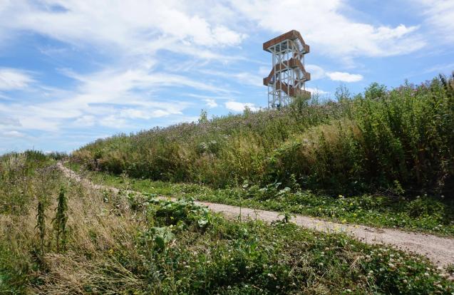 Uitkijktoren Hoge Bergse Bos