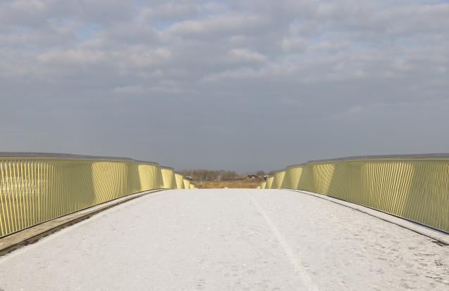 Leuning Fietsbrug De Groote Wielen