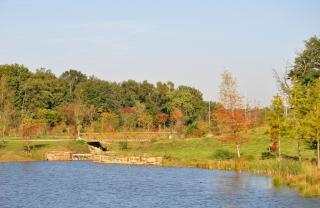 Passerelles et ponts du parc Meerland