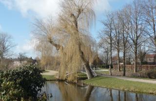 Pont Wilhelminapark Grou