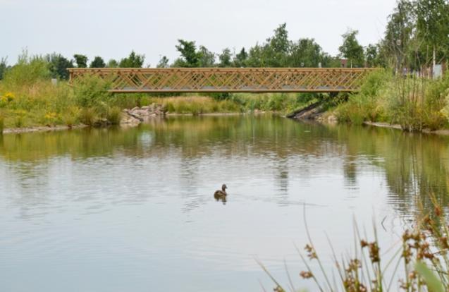 Passerelles et ponts du parc Meerland