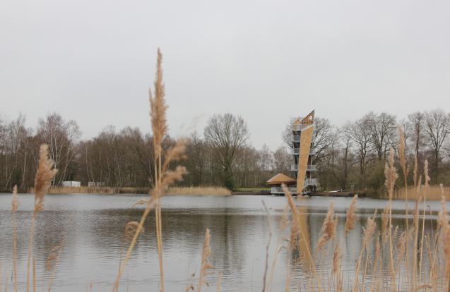 Tour d'observation Wijvenheide à Zonhoven